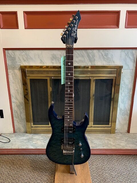 bc rich assassin